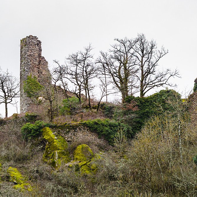 Vue générale du château de Camboulas - Philippe Raveton