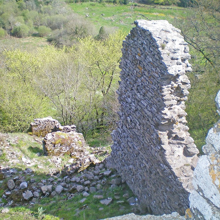 Vue des ruines des fortifications de l'ancien château de Peyrebrune - Arnaud Villefranque