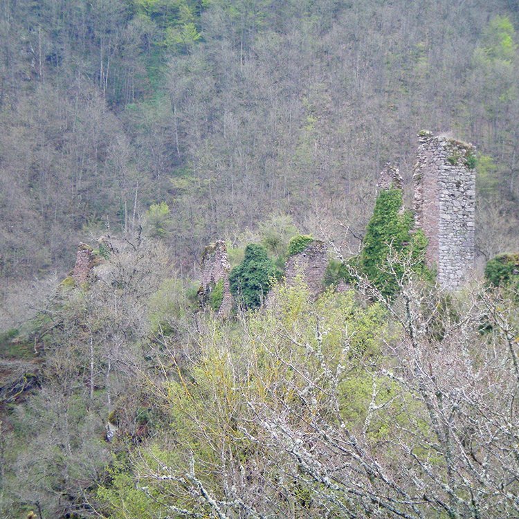 Vue générale du château de Camboulas depuis la route - Arnaud Villefranque