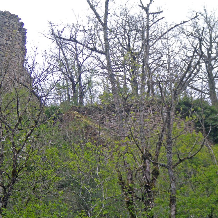 Vue latérale de la tour du château de camboulas - Arnaud Villefranque